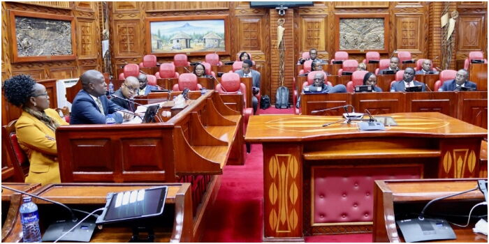 MPs Probe Auditor General Over Fake Papers and Office Torture Claims